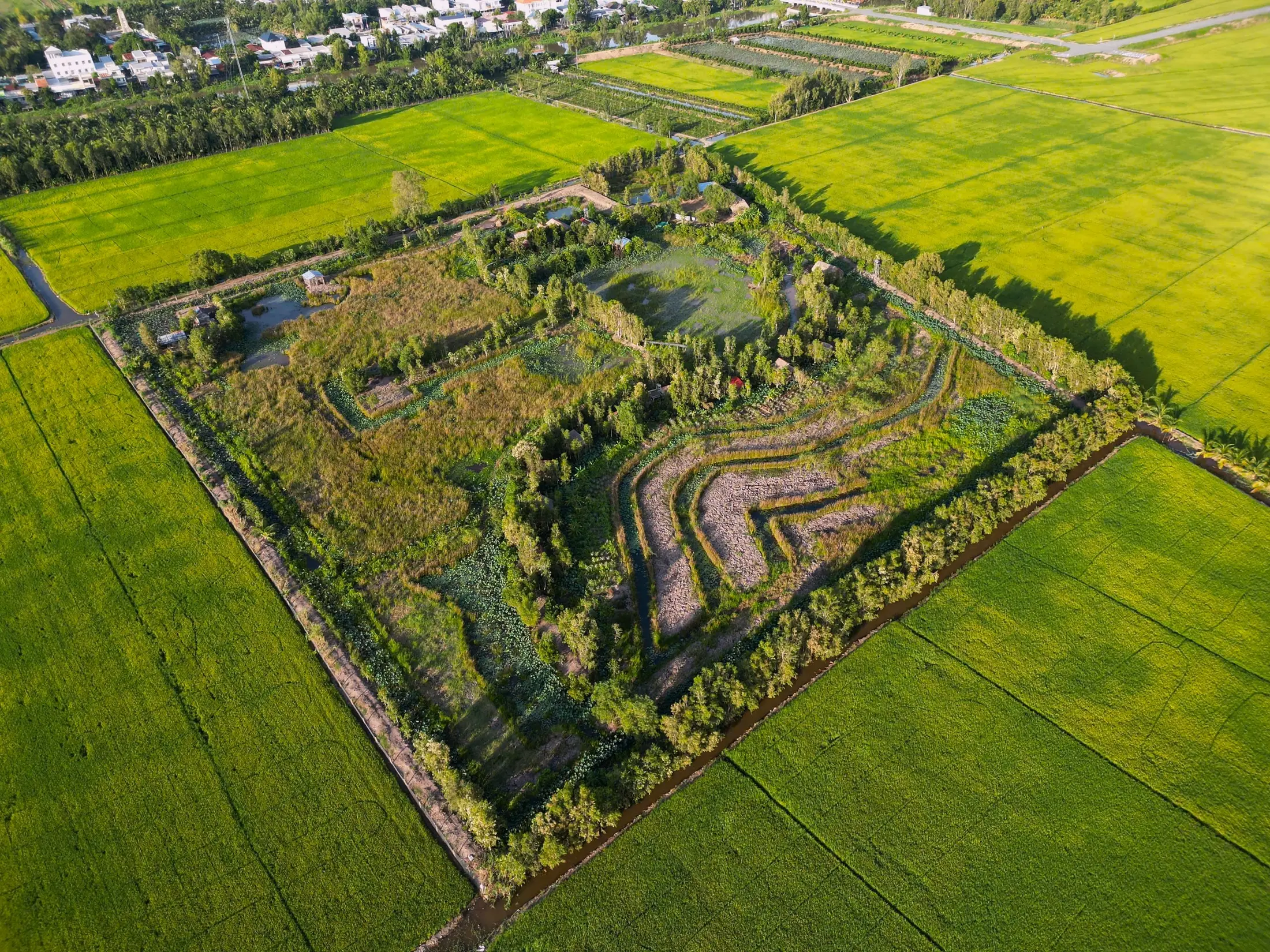 Aerial view of Việt Mekong Farmstay surrounded by rice fields