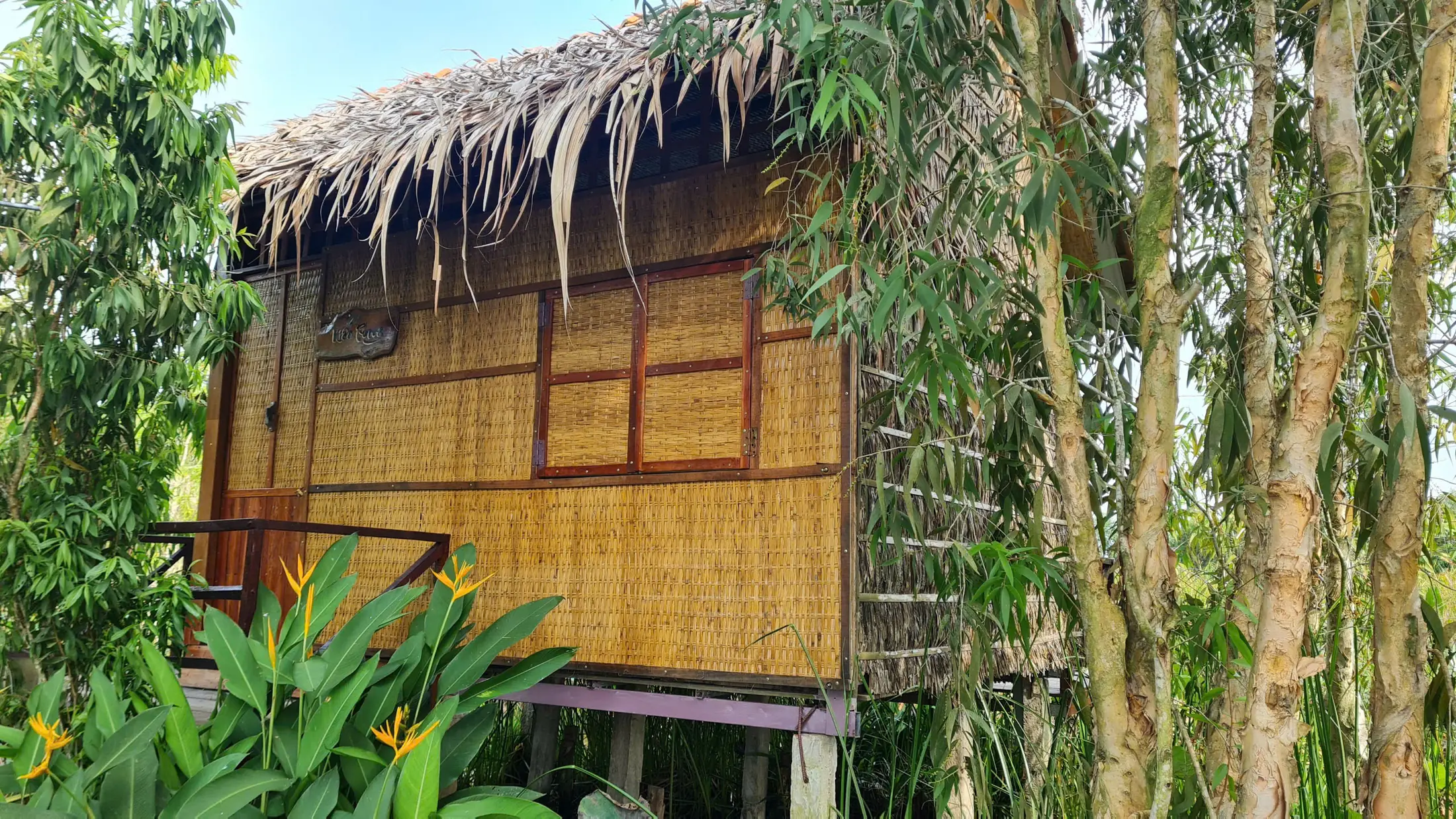 Eco Stilt House woven from natural materials among trees