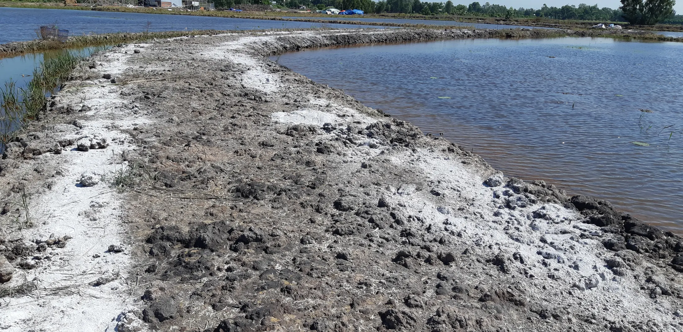 Water and prepared ground during the early farmstay period