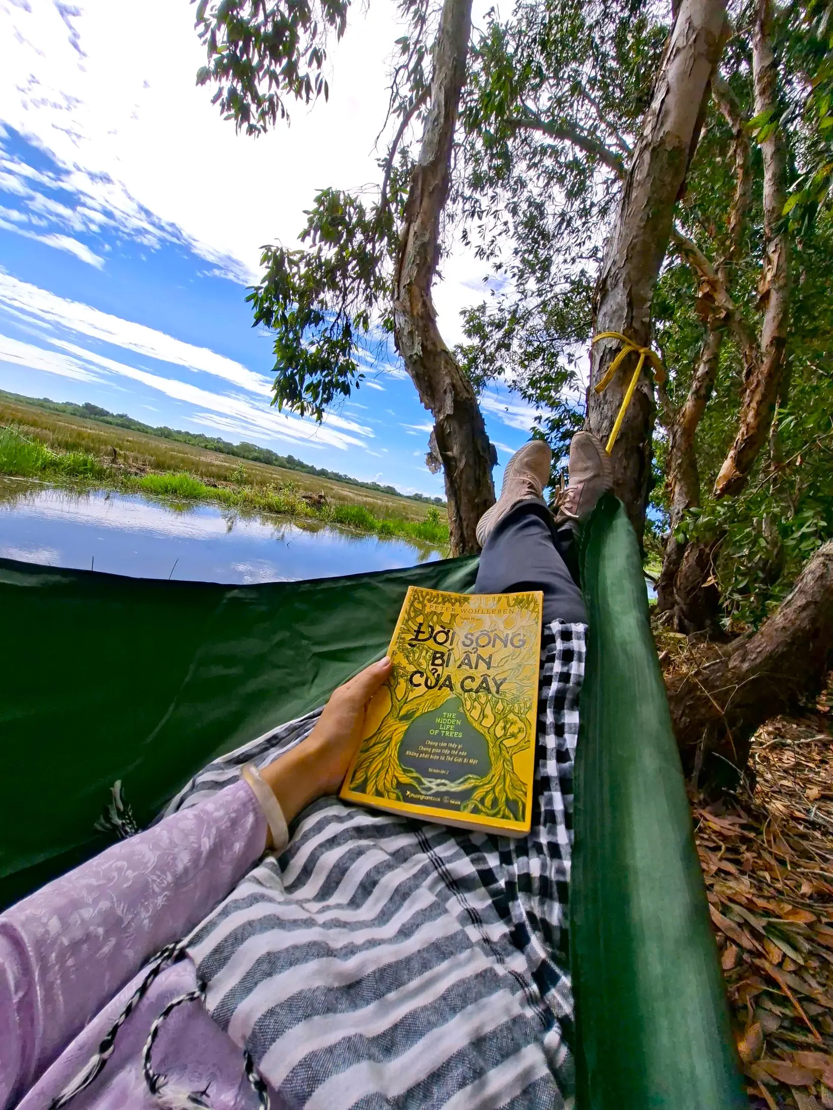 A traveller resting in a hammock beneath wetland trees