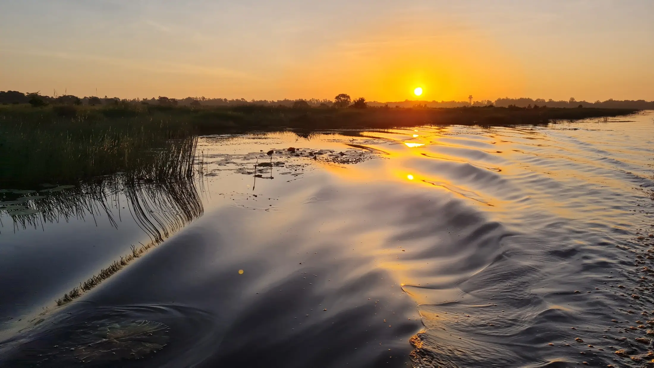 Sunset reflected across the wetland landscape near Tram Chim National Park